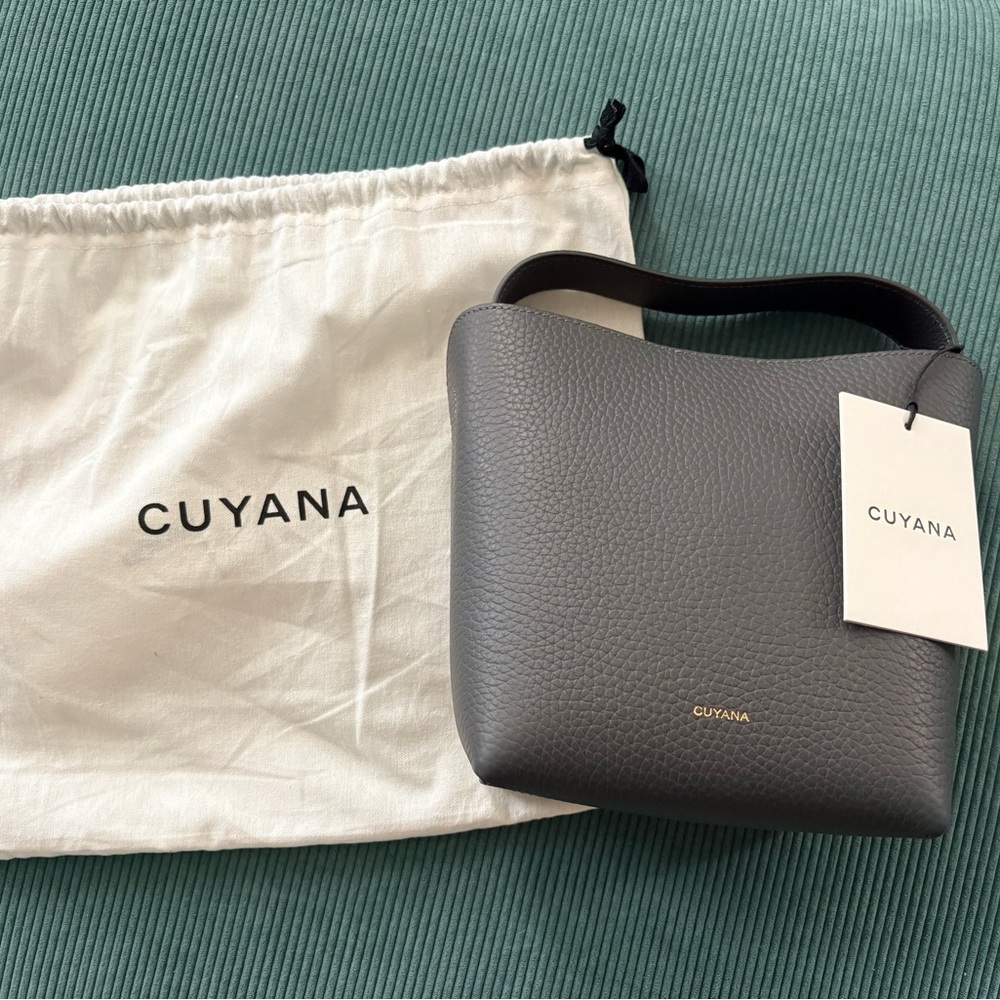 Cuyana Mini Linea Bucker Bag (charcoal with gold hardware)